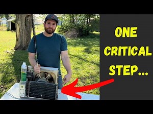 DEEP CLEAN a Window AC the PROPER Way!