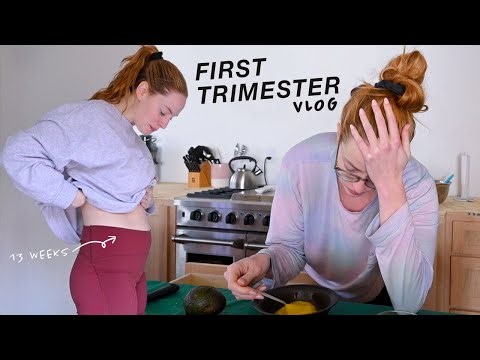 First Trimester Video Diary // morning sickness, my first ultrasound, & more