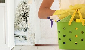 How to get rid of mildew: The one product that could banish mould