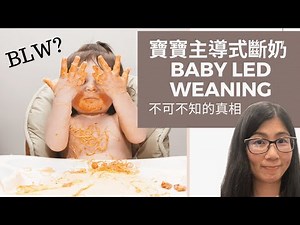 寶寶主導式斷奶 baby led weaning - 營養師分析BLW利與弊, 為寶寶引進固體食物零風險 (中/EngSub)