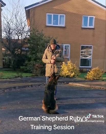 Effective Training Session for German Shepherd Ruby