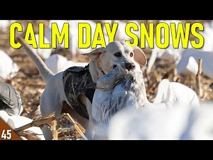 Hunting SNOW GEESE in TOUGH Conditions | Field Hunting Snow Geese
