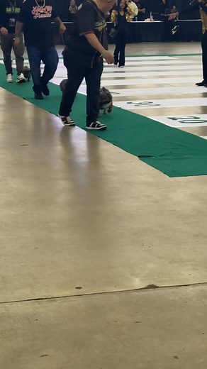 $5k for a dog show !! | Xavier Clark