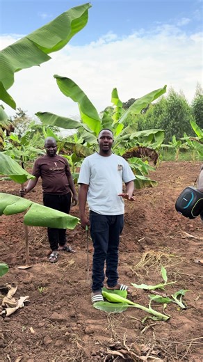 Understanding God's Rewards in Life