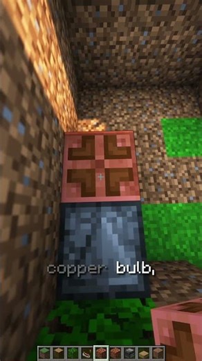 This Minecraft Bush Hides a SECRET Door!