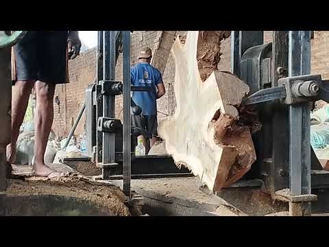 Exotic Wood Roots Cut Into Wood Slabs Furniture Material