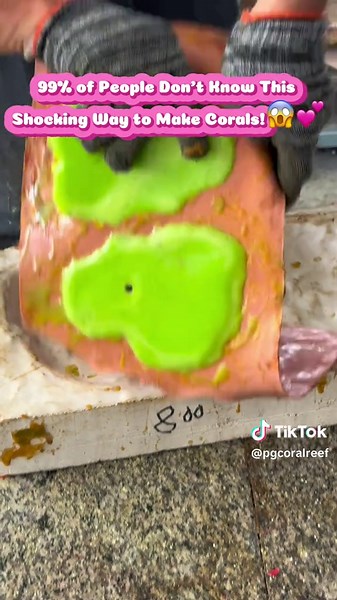 99% of People Don’t Know This Shocking Way to Make Corals!😱💕#foryourpage#trending#LearnOnTikTok##aquarium#aquariums#aquarius#aquarius♒#aqua#aquascape#aquariumstruggles#aquaman#AquariumHavks#aquariumdecoration#aquariumdecor#aquariumdesign#aquariumproblems#saltwateraquarium#meerwasseraquarium#aquariumhack#aquariumart#decorationaquarium#decorationaquarium#PGAcrylicaquariumdecoration#fishtank#fishtanks#fishtanksofinstagram#decorationfishtank#fishtanklife#fishing#coral#coralscience#DIYcorals#corali