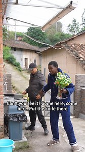 My husband got me a beautiful rose! He remembered my mention about wanting to learn flower arranging😂 | Rose鄉村