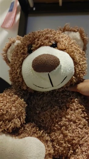 The Lever #funny #memes #comedy