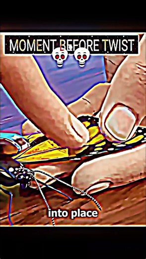 How a Damaged Butterfly Wing Was Carefully Repaired | Allahu Akbar