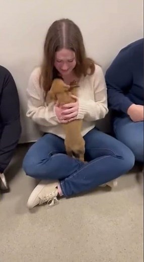 Sweet Little Puppy Choosing Its Human 🐶❤️