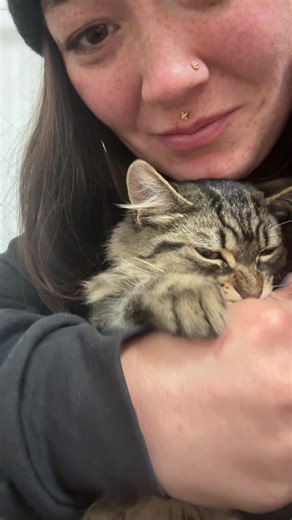 Valerie (@thevalerievelvet)’s videos with Stickwitu x Live Your Life - Takumii