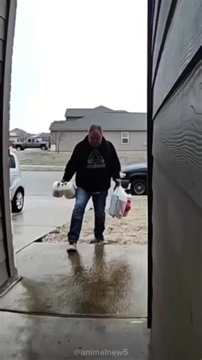 Snow Slips Captured Live on Camera #WinterFails #SnowSlip #FunnyFalls #SnowDayLaughs #WinterWipeouts