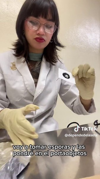 Cuentas recomendadas