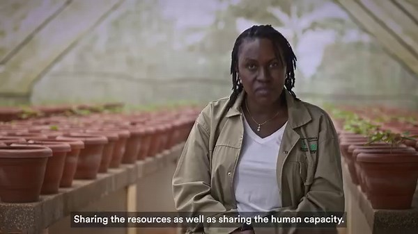 83 reactions · 11 shares | Become a Gates Notes Insider to learn more about heroes like Clare Mukankusi. | Bill Gates | Facebook