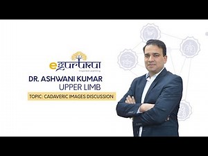 Upper Limb Cadaveric | \rAnatomy by Dr Ashwani Kumar | Dr. Bhatia videos | DBMCI |