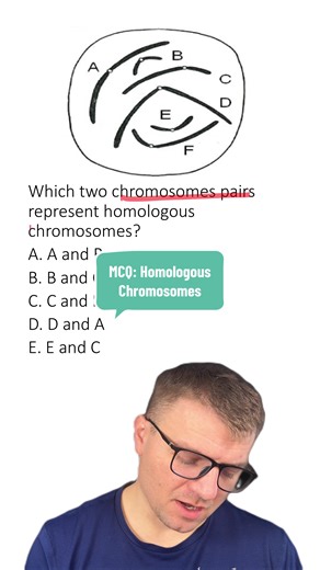Understanding Homologous Chromosomes in Genetics
