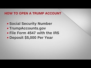Trump Accounts: Here's how to sign up as app launches ahead of July 4 rollout
