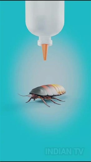 How Cockroach Saves Humans Life 🪳#shorts