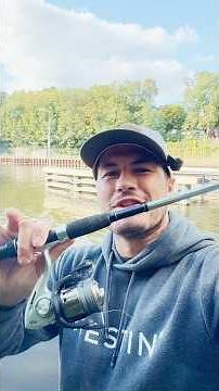 Obi Fish Species Challenge 🔥🔥 #angeln #fishing #joshinator