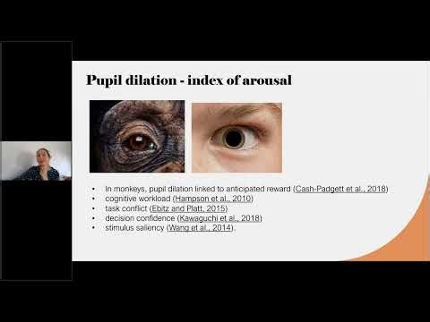 Pupil Size & Eye Tracking: Data Collection, Preprocessing & Analysis Best Practices