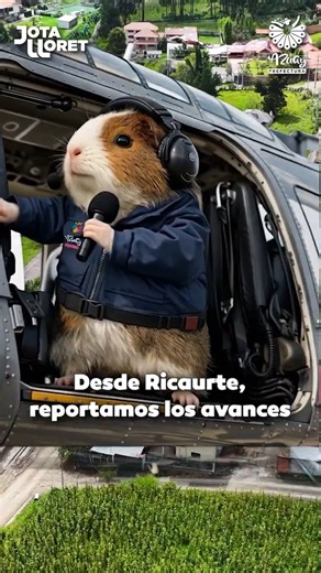 Transformamos la matriz vial en Ricaurte