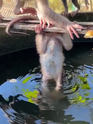 Strength Training Challenges for a Stronger Life