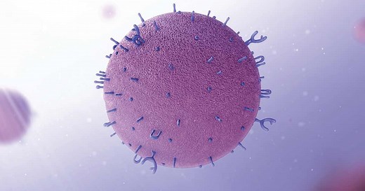 Early life nutrition ingredients: phospholipid and milk fat globules