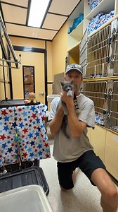 109K views · 3.8K reactions | A BIG THANK YOU to ESP Guitars and each and everyone one of you who participated and helped raise much needed funds for such a wonderful Rescue Group! #AdoptedYourNextPet | Obituary | Facebook