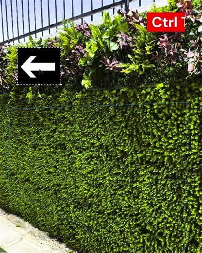 Grass Texture on Text in Photoshop 🌱✨ | Realistic Text Effect #shorts