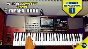 DEMO KORG PA 1000 !! CON RITMOS Y SAMPLES DE CALIDAD Chords - ChordU