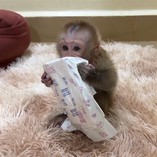 20K views · 725 reactions | Mom Genius Act Like C0w For Linda Ride On Her Back So Fun | Mr Jacky | Facebook