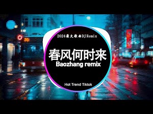 🔝2024年顶级夜店DJ舞曲 | 2024最火歌曲DJ Remix 抖音版⚡劲爆DJ歌曲大全: 徐佳莹 - 身骑白马 / 巴扎黑 - 春风何时来 / 離別開出花 - 就是南方凱 | Baozhang