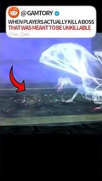 When players actually kill a boss that was meant to be unkillable #game #story #meme