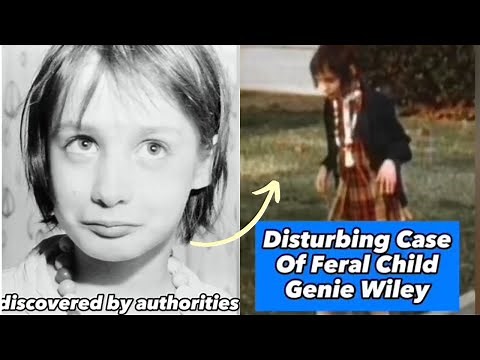 The Disturbing Case of Genie Wiley: A Tragic Story of Isolation and Survival
