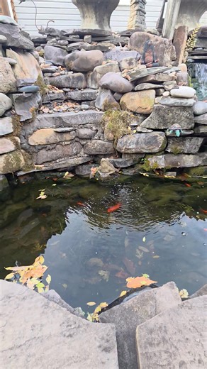 So very glad I get to have relaxing and peaceful areas while working! | Jeremiah Hines