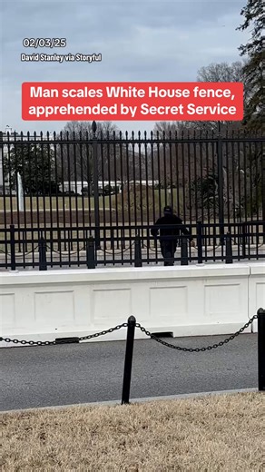 440K views · 3.2K reactions | A man was apprehended and arrested by Secret Service on Monday after he tried to scale the fence along the South Grounds of the White House. Officials did not immediately provide information about the suspect's identity and whether they faced any charges. | CBS News | Facebook