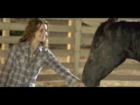 Flicka Full Movie Fact, Review & Information / Alison Lohman / Tim McGraw