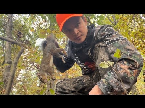Fall squirrel hunt/ Squirrel on the ground only