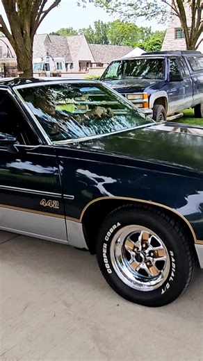 1M views · 10K reactions | Oldsmobile 442 Classic Car Drive By Engine Sound Easy Rodders Car Show 2024 | Casey Faitel | Facebook