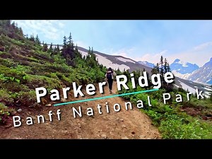 Parker Ridge Hike | Banff National Park | Beginner to moderate Hike | Saskatchewan Glacier | Alberta