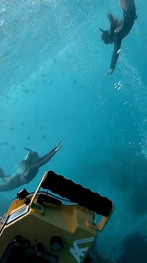 21K views · 379 reactions | Omg he’s huge  #hawaii #diving #underwater #models #ocean #diver #girls #shipwreck | Beauties of the Ocean | Facebook