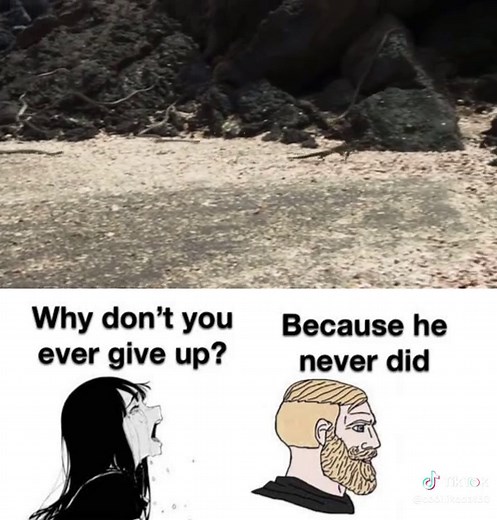 Iguana Running for Survival: An Intense Escape Story