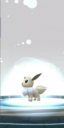 How to Evolve Eevee into Umbreon - Shiny Evolution #pokemongo #umbreon #shinyeevee