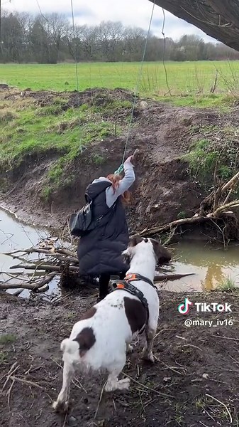 les vidéos les plus drôles | funny video laugh