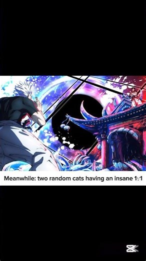 Me doing homework vs. Cats outside at 3 AM 💀 #shorts #jjk #anime