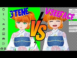 Which one is better? 3Tene VS VSeeFace!
