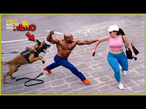 99 Hero Animals that Saved Human Lives ! | Hero Animals #7