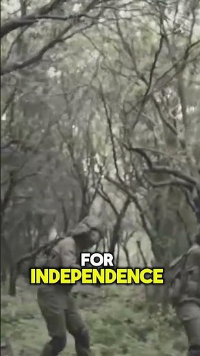 The REAL Story of Zimbabwe's Independence Struggle