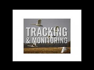 Webinar 2: Transition Preparation